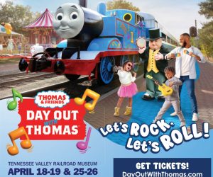 Screenshot 2026-03-08 201855